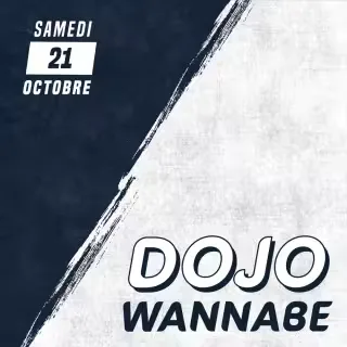 Dojo Wannabe 12 — Event logo