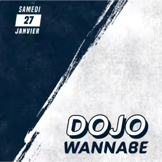 Dojo Wannabe 13 — Event logo