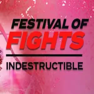 Festival of Fights 4: Indestructible — Event logo